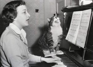 A woman playing a piano with a cat sitting next to her meowing