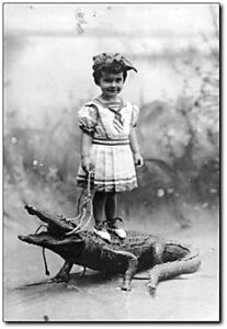 a little girl with a pet alligator