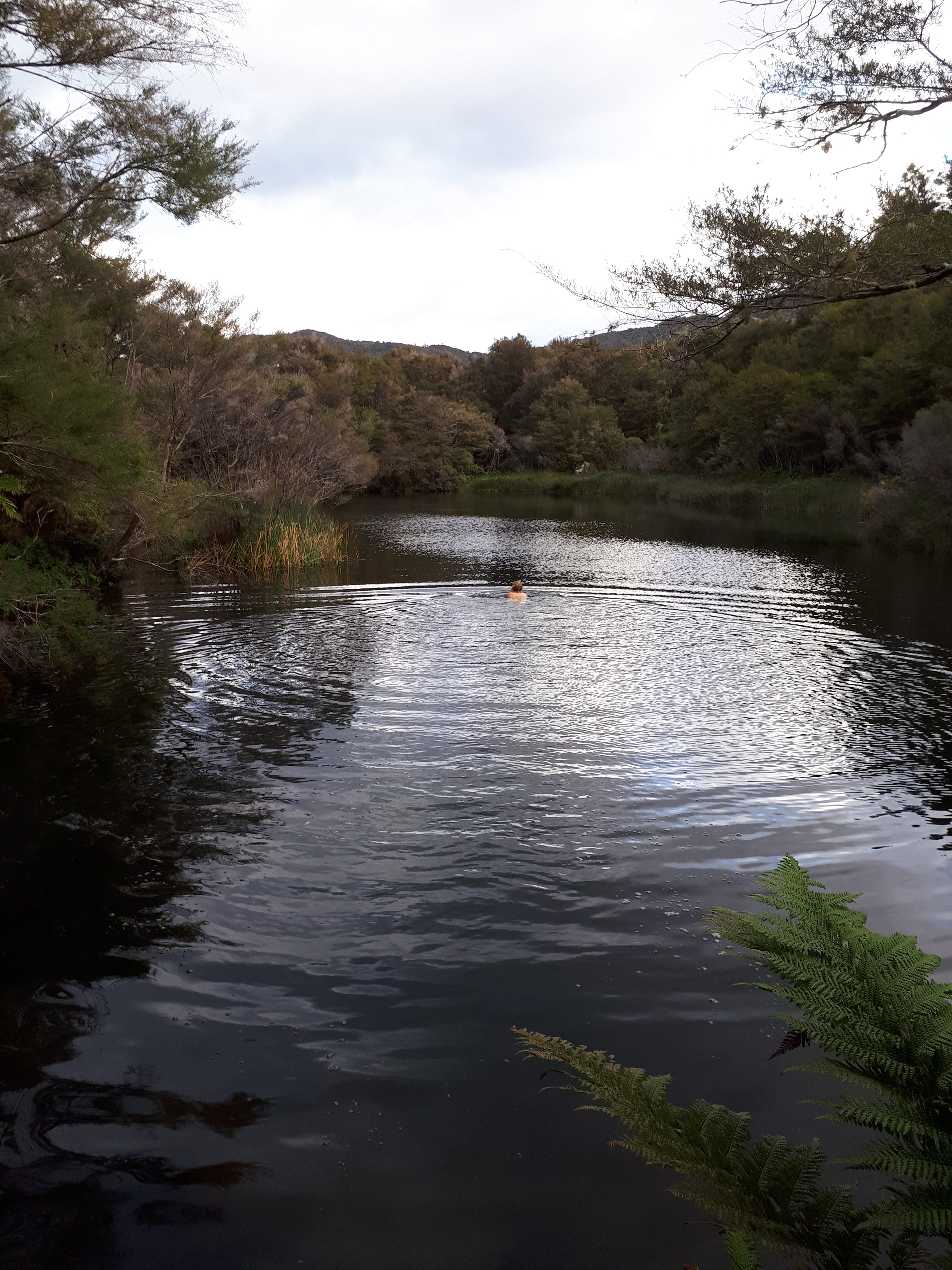 Person swimming in a secluded pond surrounded by a forest