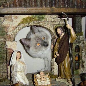 A cat examining a plastic manager scene