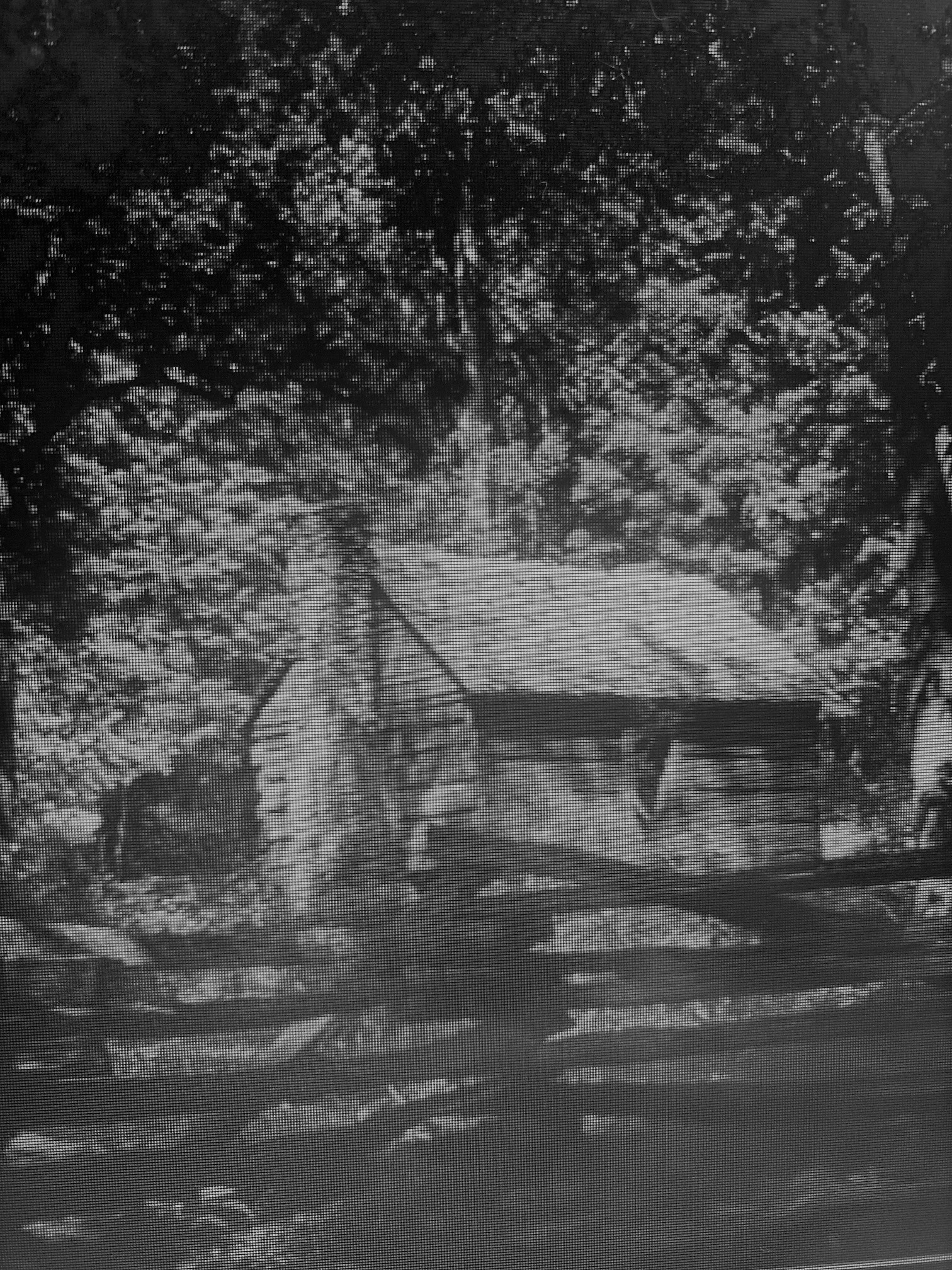 Rustic wooden cabin