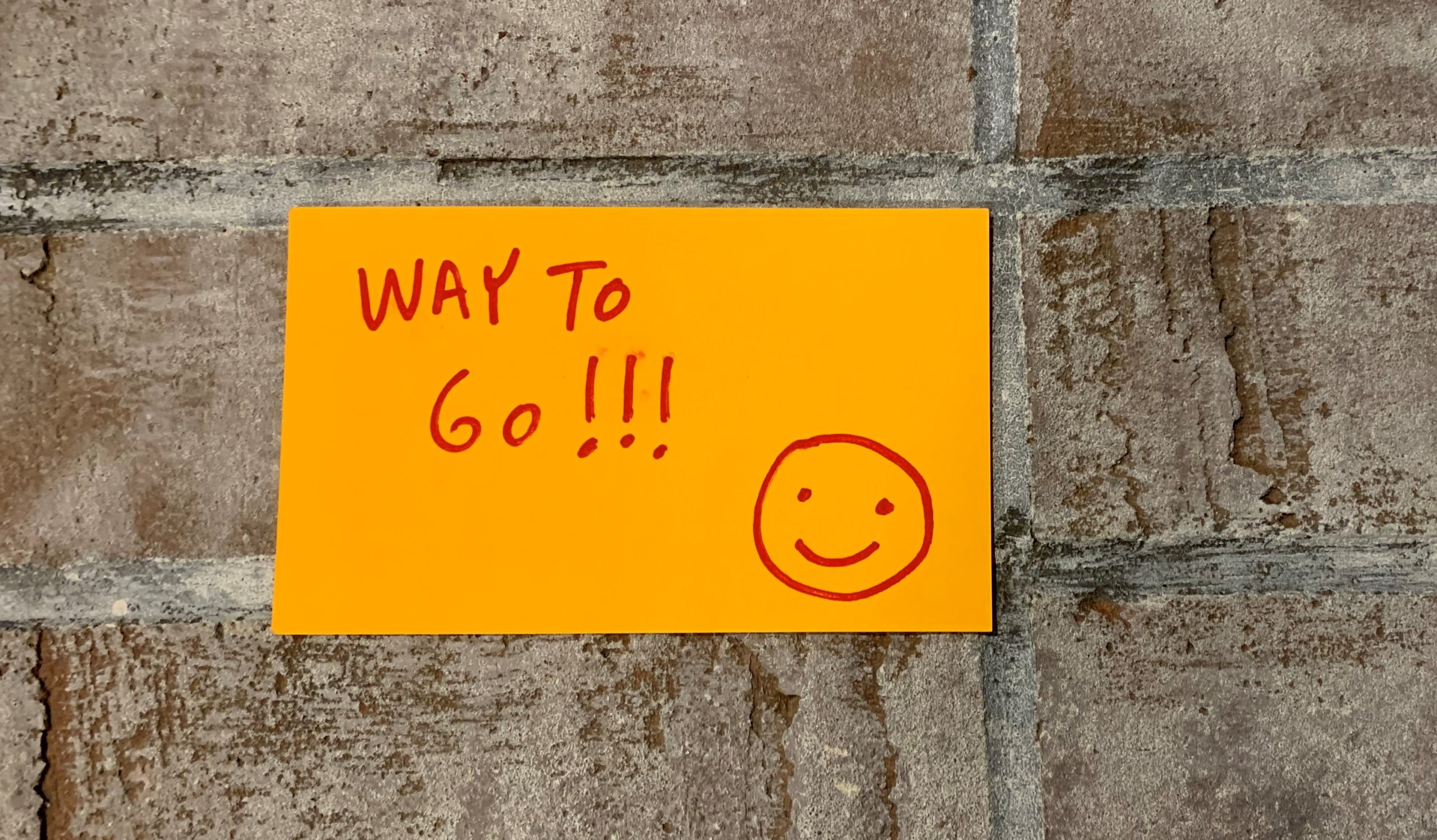 Exciting BIFFY 50 News!