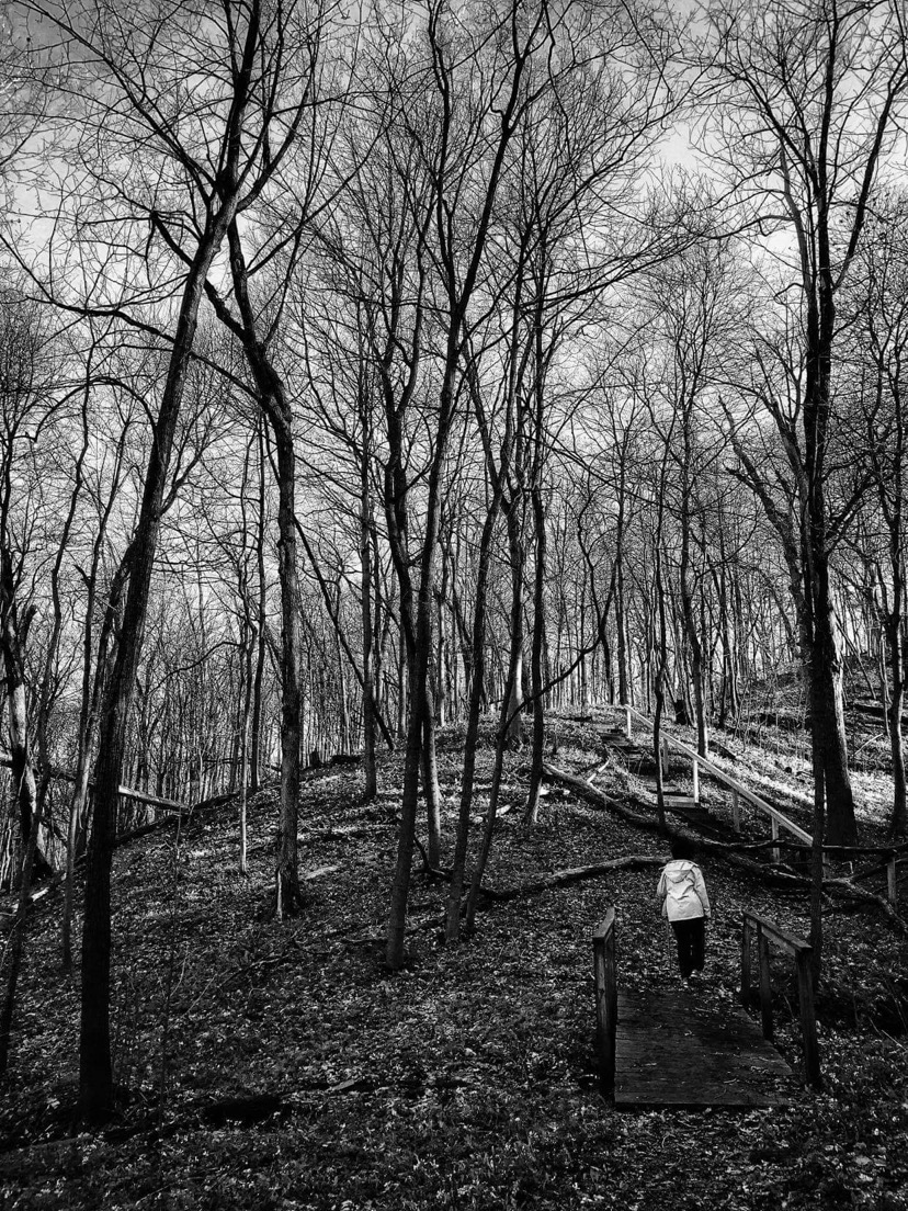 Trip-trapping by Sara Hills