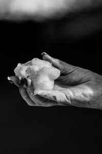 a hand holding a snowball