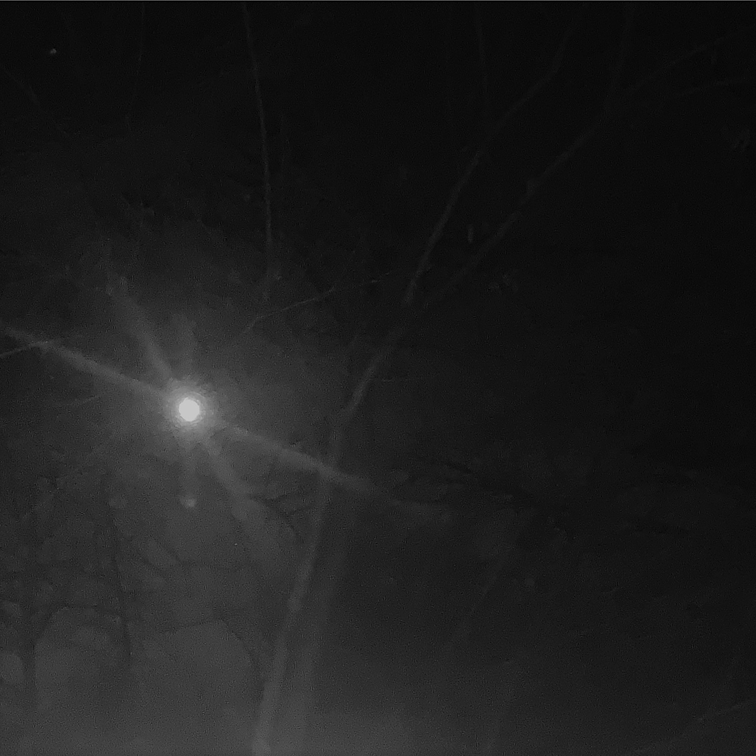 Melodie Wants the Moon by Kelsey Ipsen