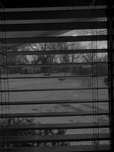 a view from behind blinds looking out on a snowy yard