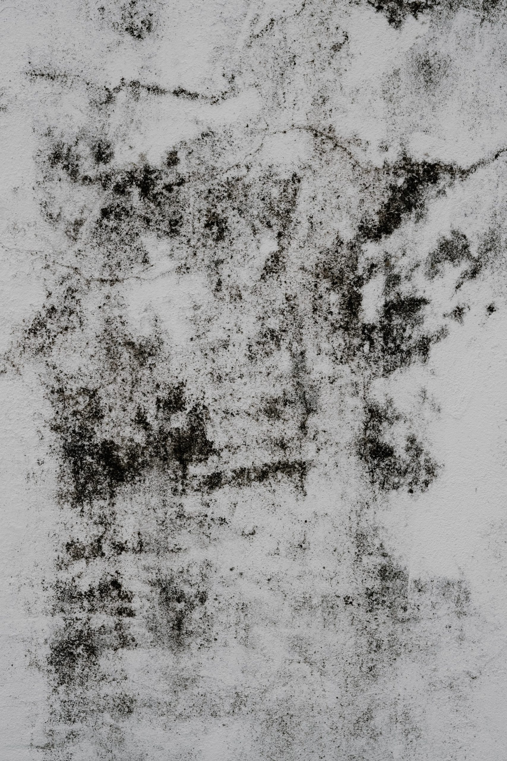 charcoal marks
