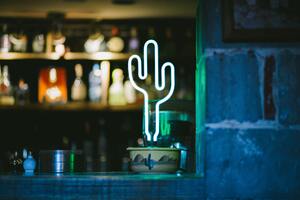 neon cactus art