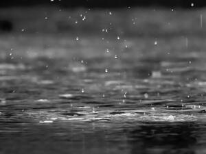 raindrops