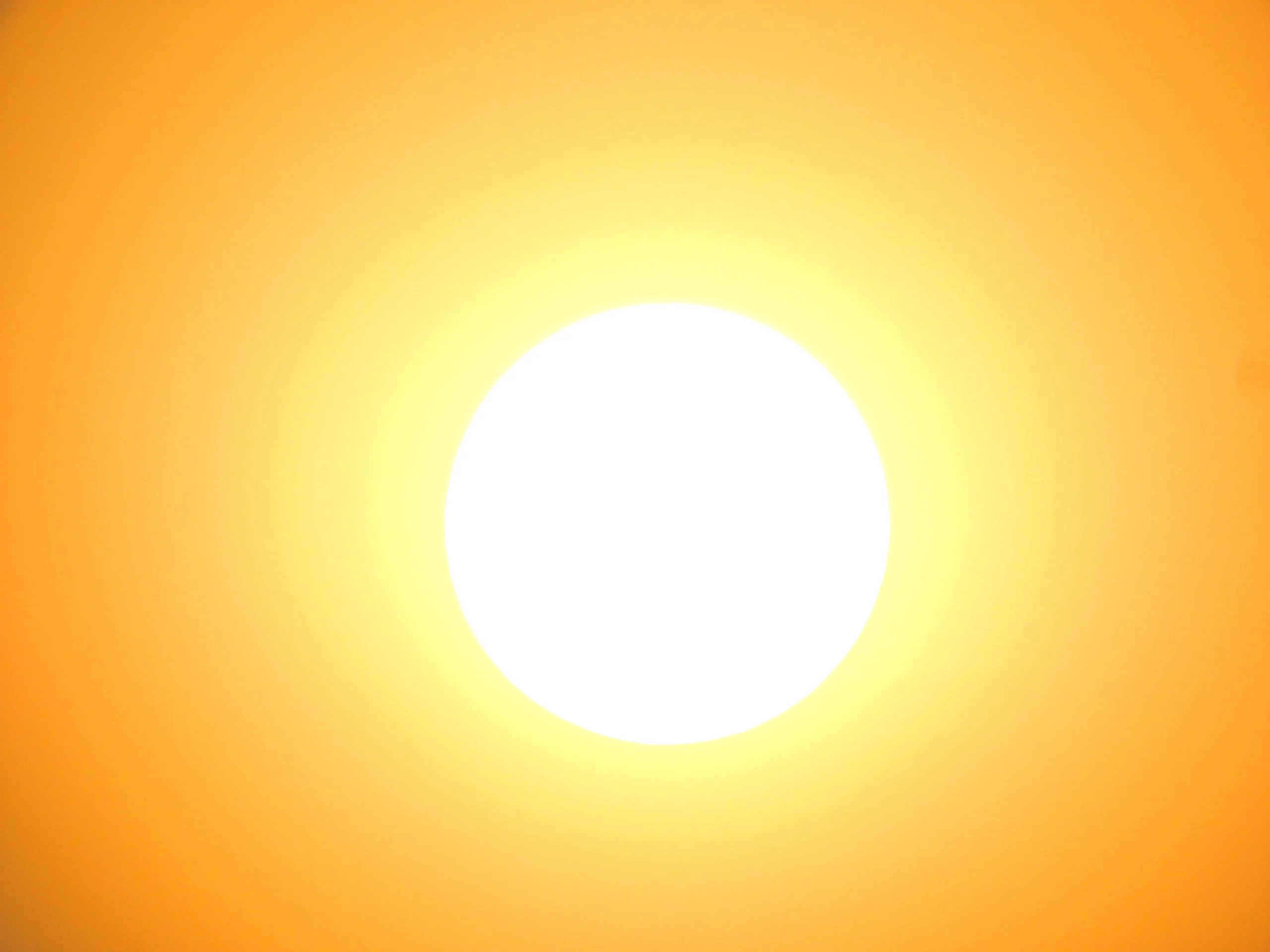The sun