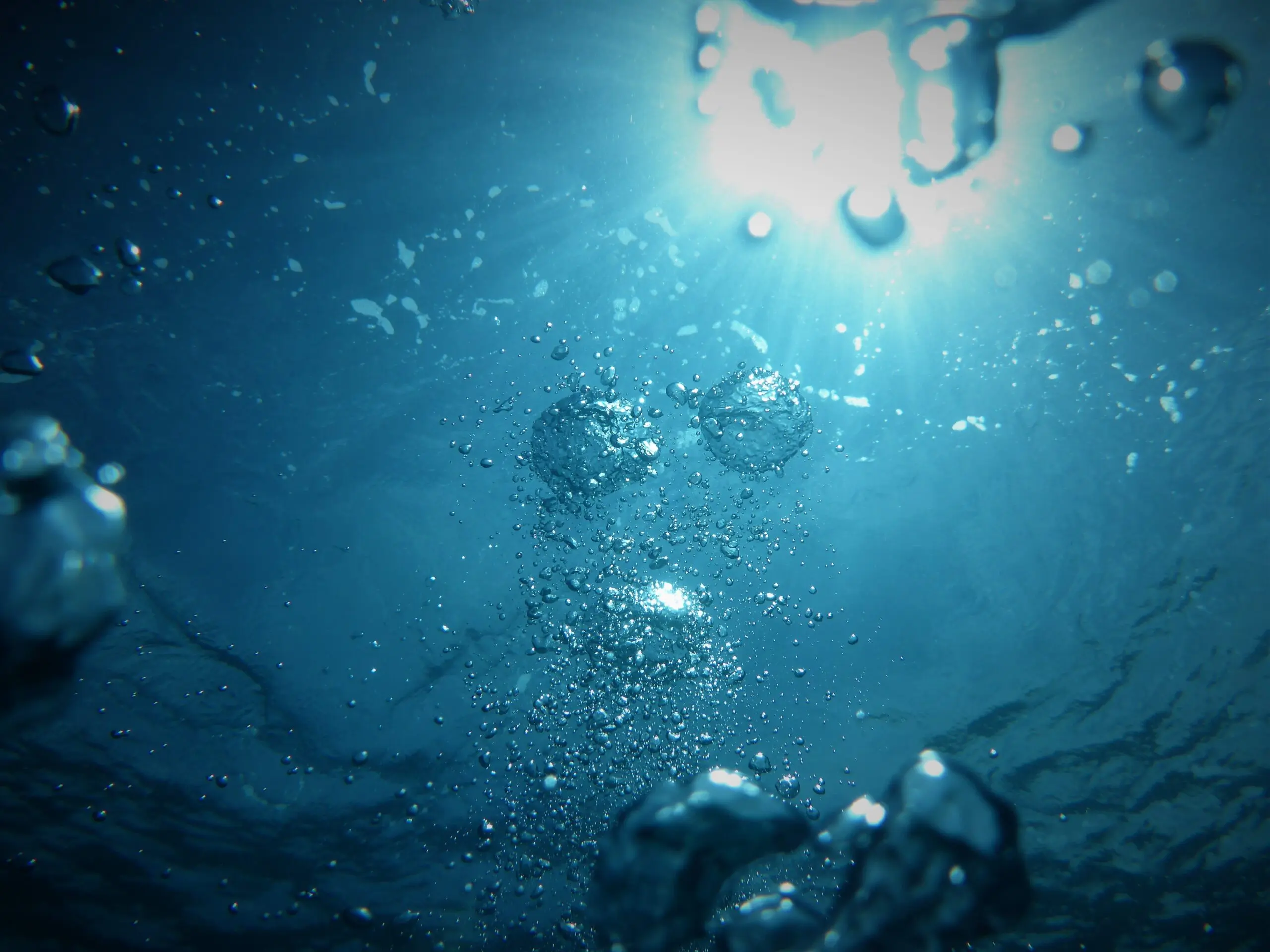 view from underwater