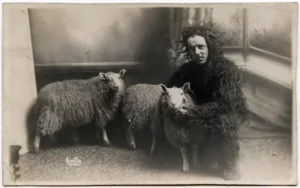 Vintage photo of a man dressed as a sheep huddling next to two sheep