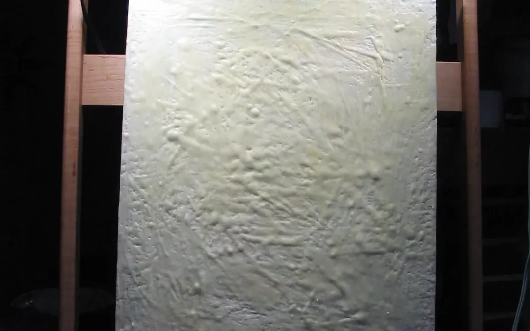 Your Brother’s Medium by Gail Anderson