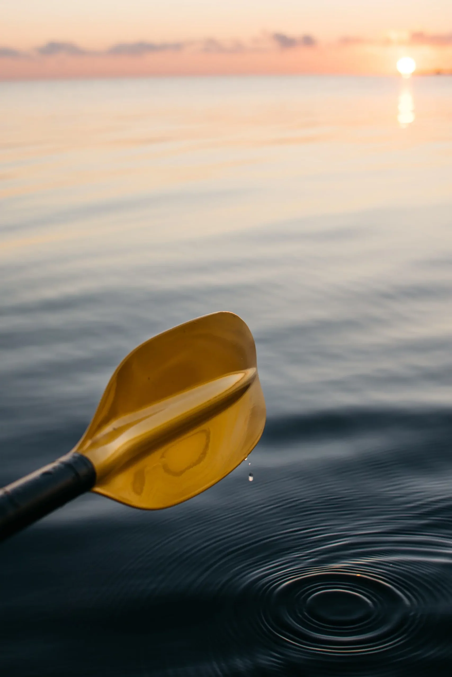 A canoe oar rising out of the water