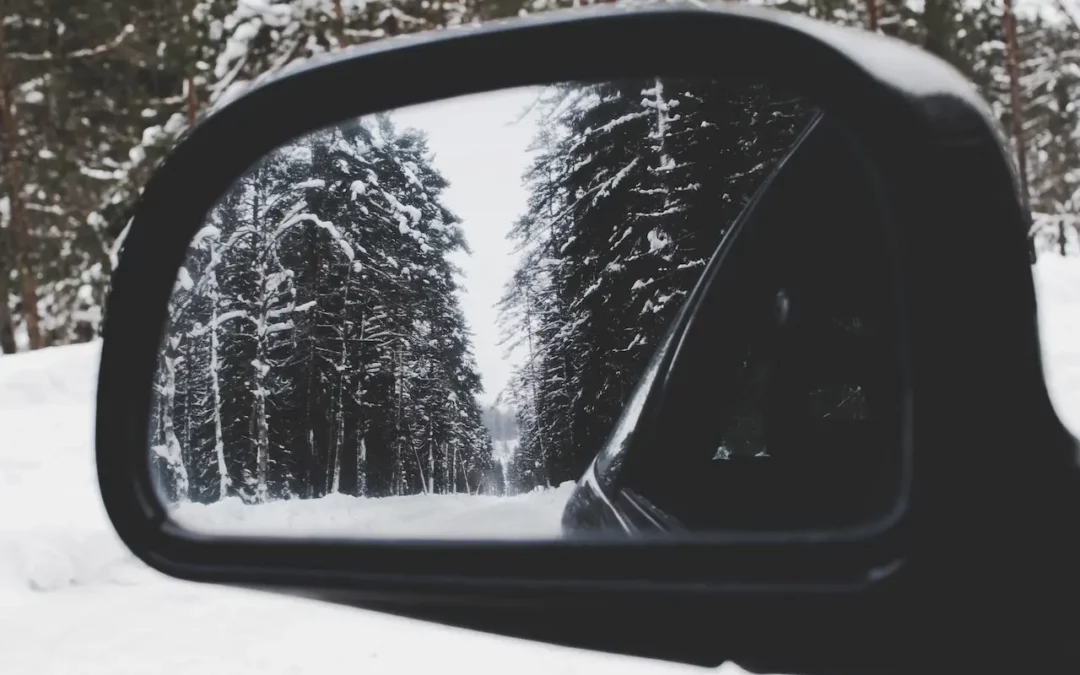 Odd Job Jane by Lorette C. Luzajic