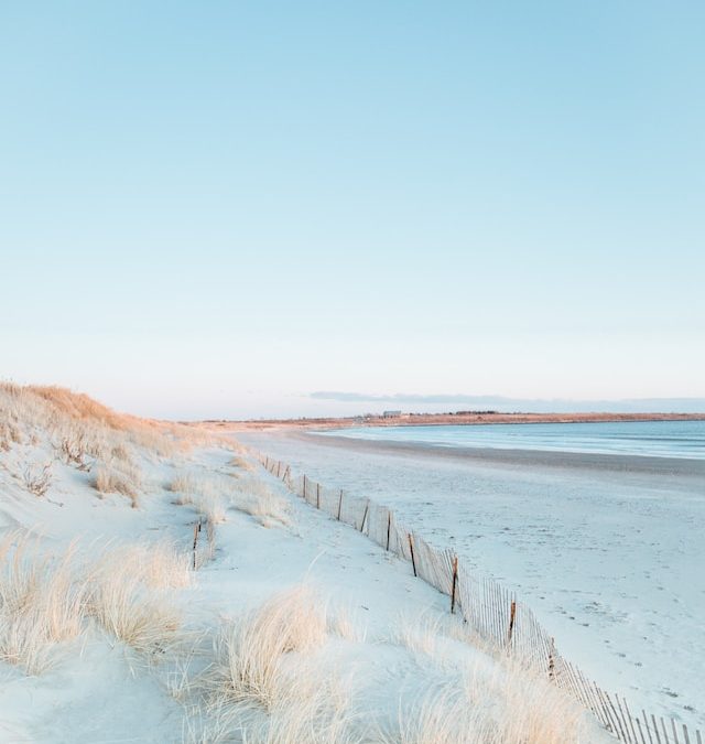 Gonna Be a Poet by Tom Vowler