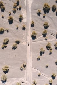 aerial view of bushes on sand field