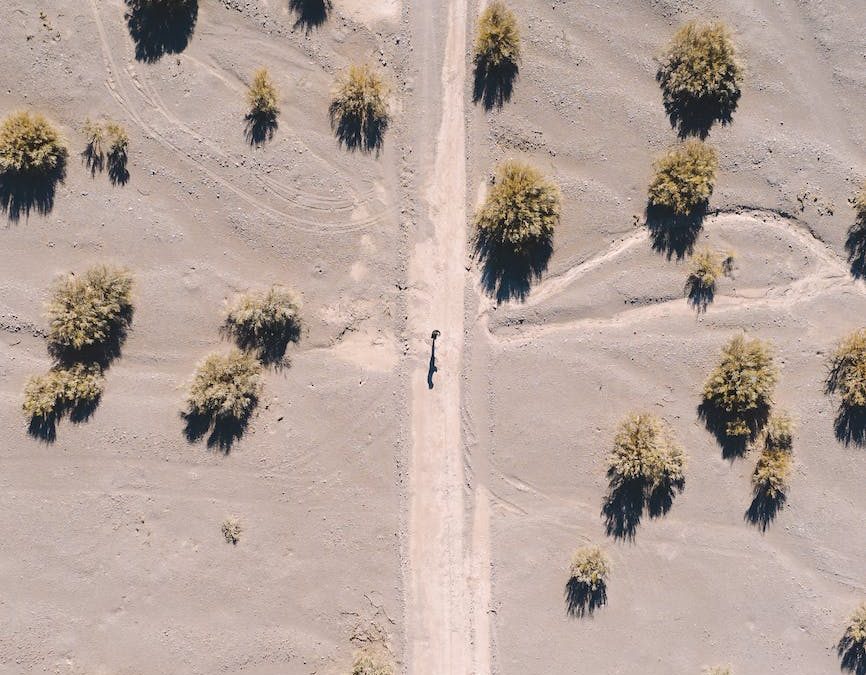 Fucking John Wayne by Sara Hills