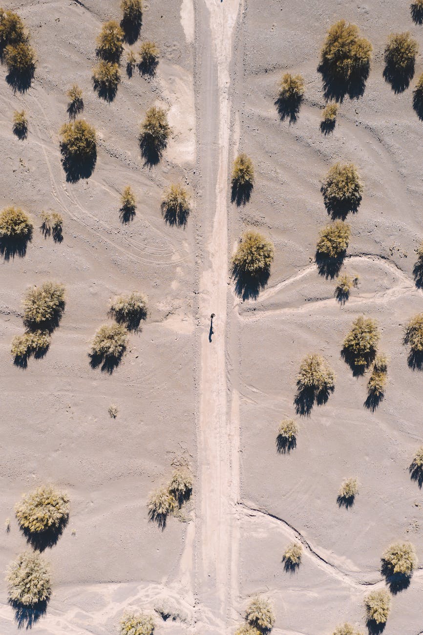 aerial view of bushes on sand field