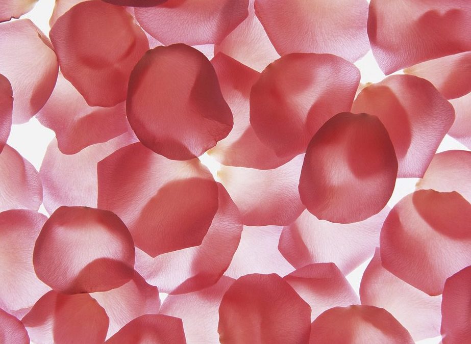 Love Lies Bleeding by JP Relph