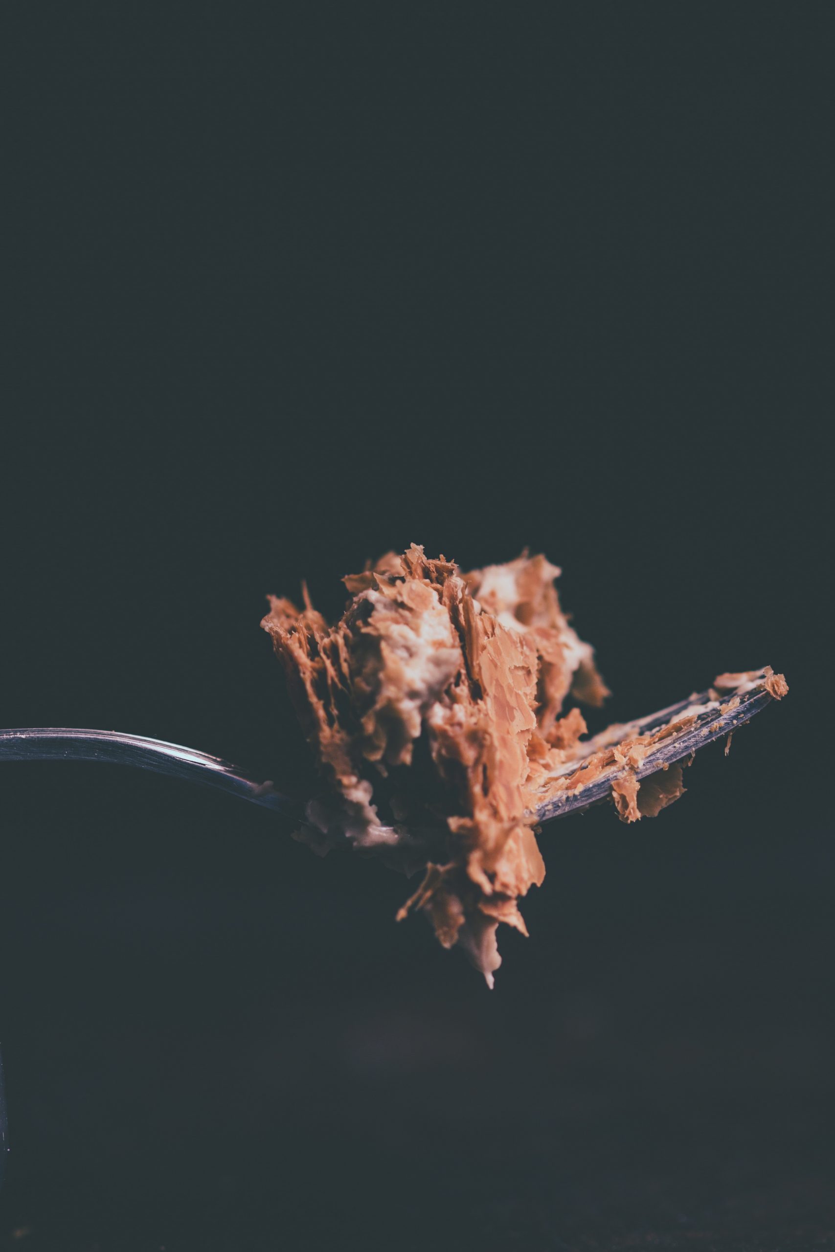 Chocolate cake on a fork