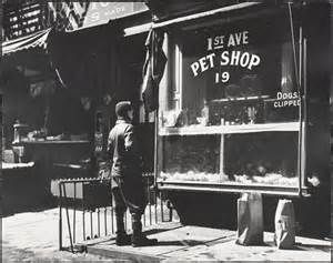 person standing out front of a 1940s pet store