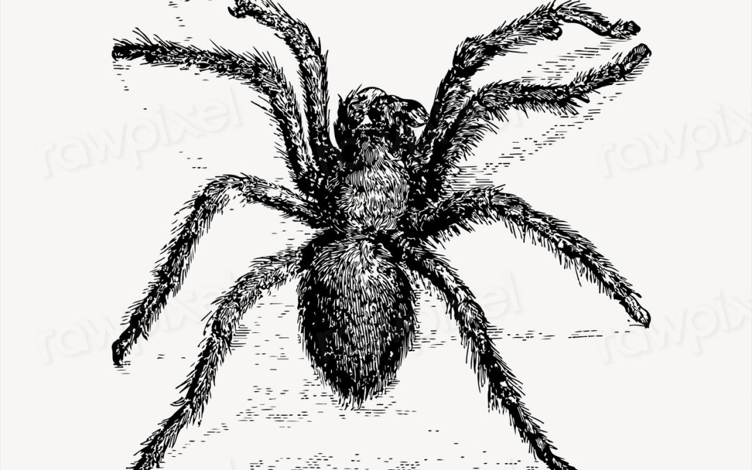 Portals by Brandon Haffner