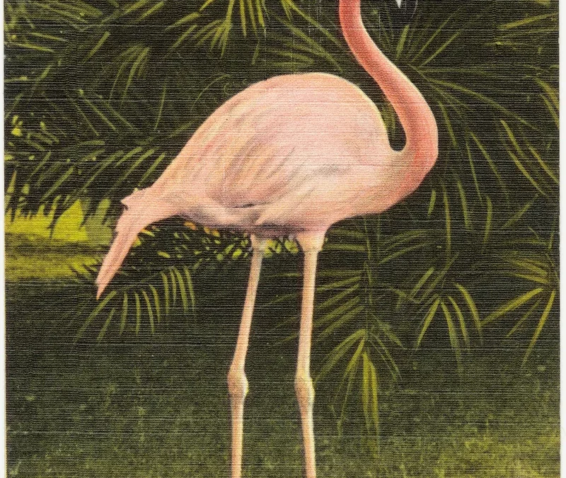 Glass Flamingos by Catherine Roberts