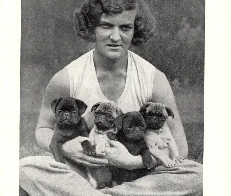 Attachment Theory by Sidney Tilghman