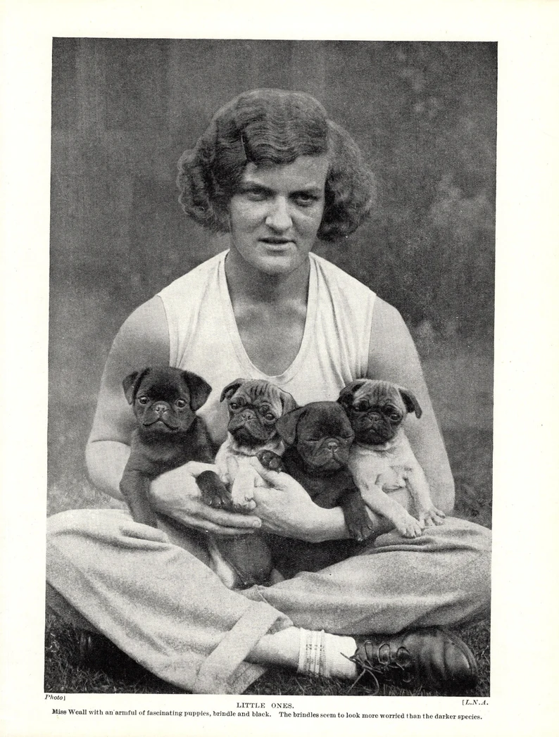 Vintage photo of a woman holding puppies.