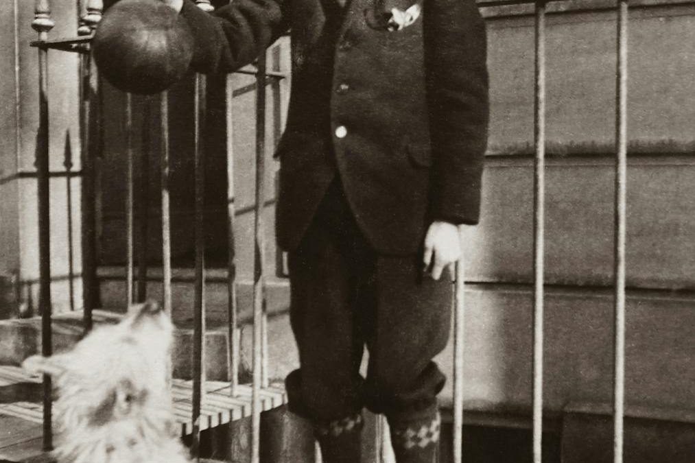 Poi Dog by Georgie Morvis