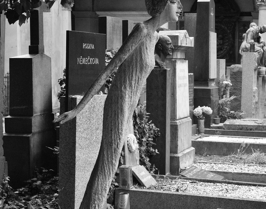 You, Visitor by Jane O’Sullivan