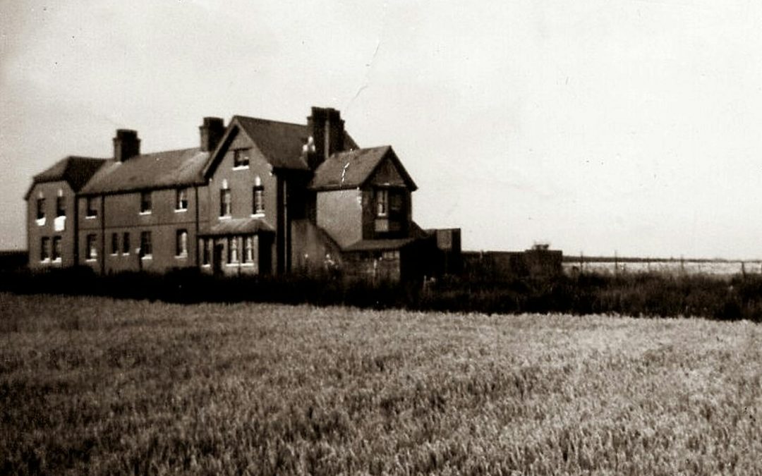 Farmland by Elizabeth Conway