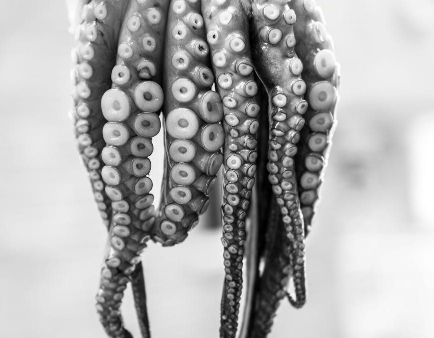 Julian by Nathan Leslie