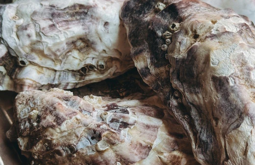 The Monster Baby Has Acquired a Taste for Oysters by Kim Murdock