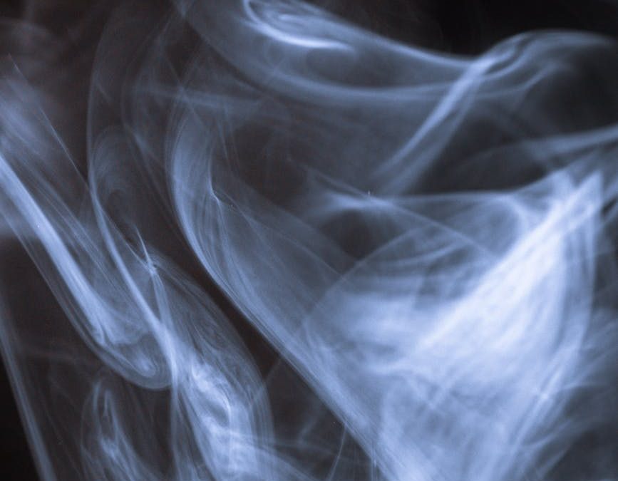 False Notes and Other Fragrances by Rowan Tate