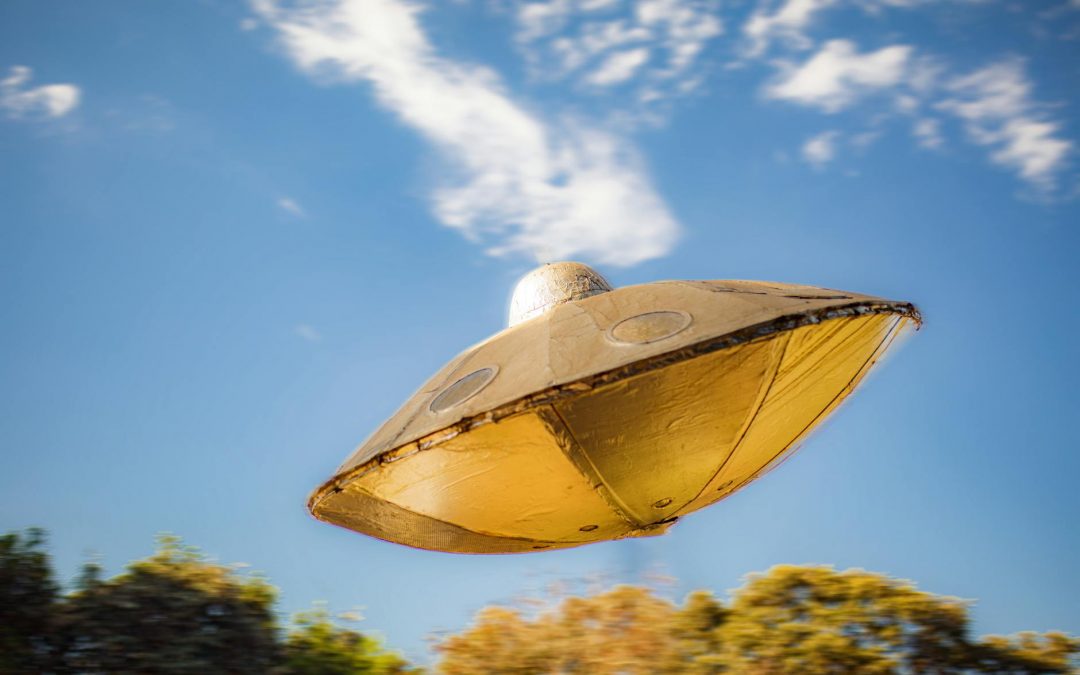 Observations in a Layby and a Missing Dick by Cheryl Markosky