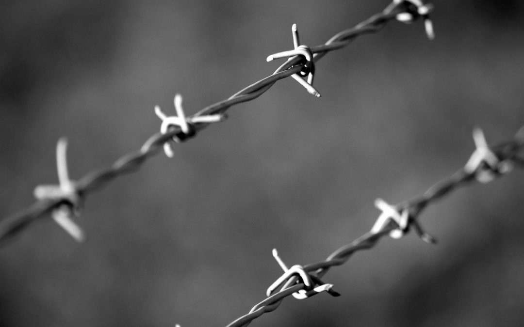 The Adoration of Borders by Gary Fincke