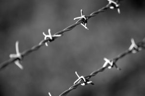 grayscale photo of barbed wire