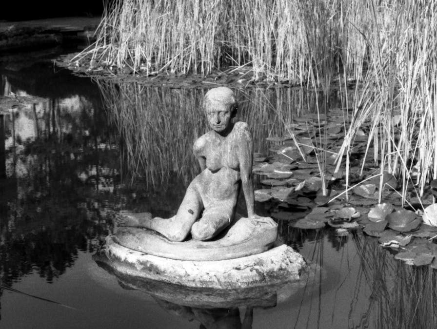 Mud Lungs by Jenna Grieve