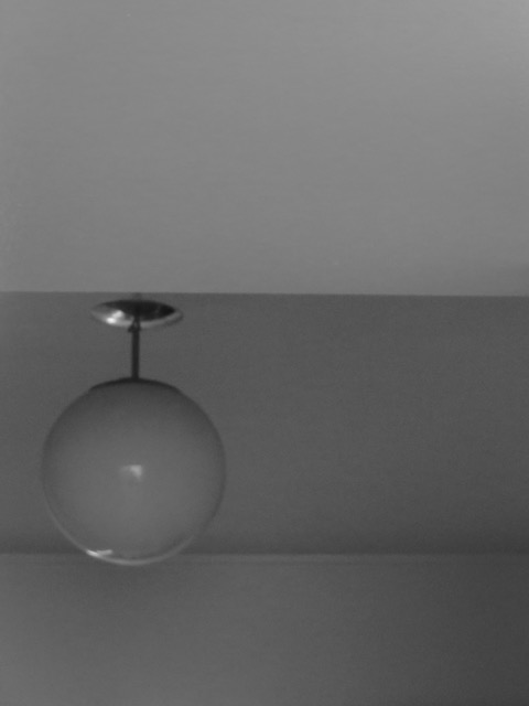 Black and white photo of sliced oranges