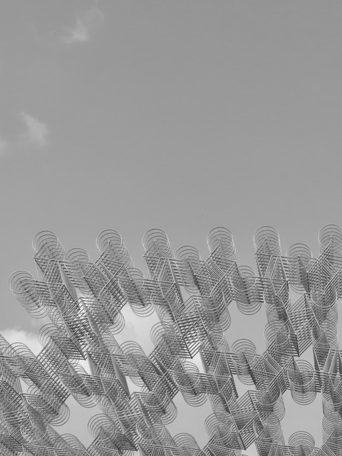 Black and white photo of sliced oranges