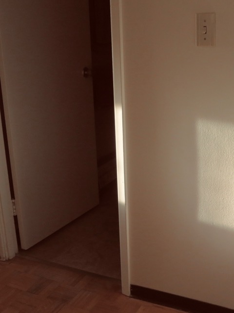 Black and white photo of sliced oranges