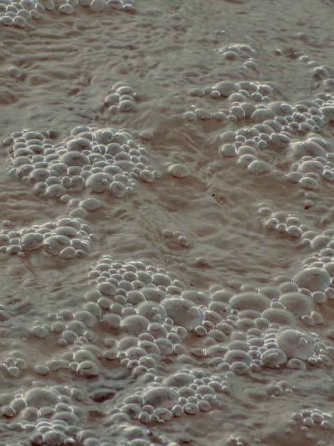 Black and white photo of sliced oranges