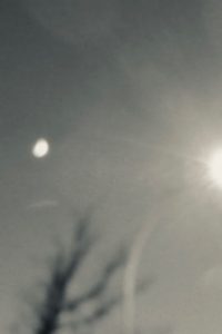 blurry image of a winter sky