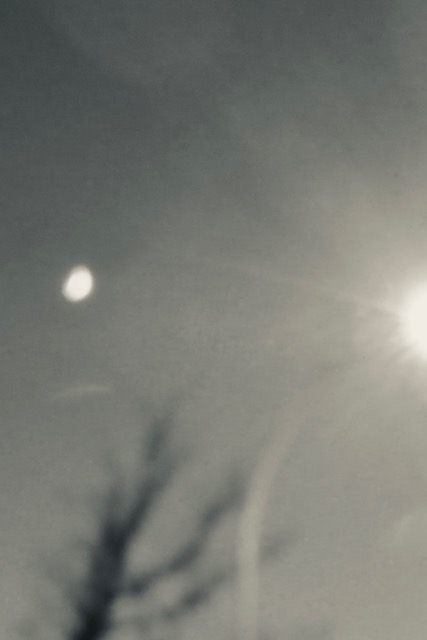 IMG_1338 blurry image of a winter sky