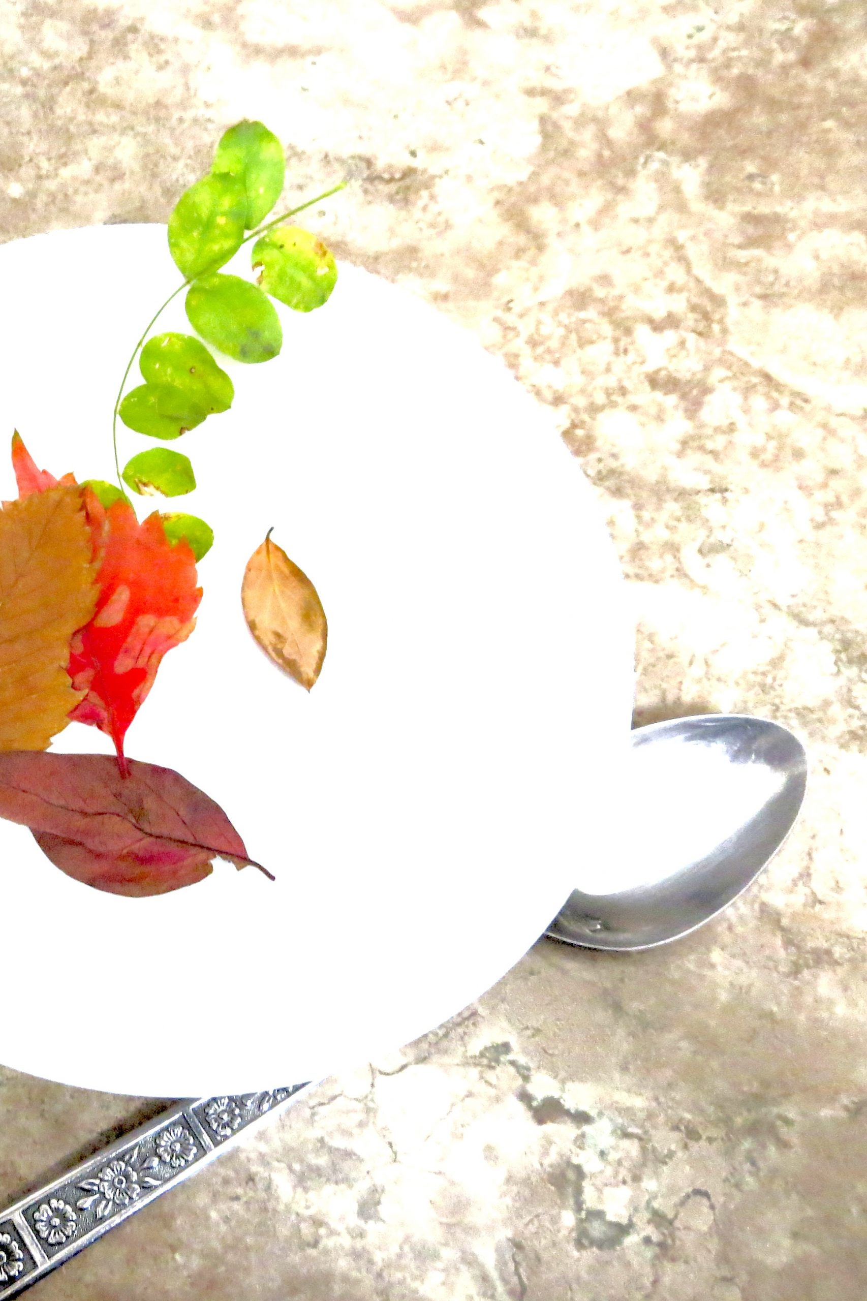 Overexposed overhead shot of a white plate on a stone surface, with colorful autumn leaves and a small green leafy stem arranged on it, alongside a silver spoon and decorative knife.
