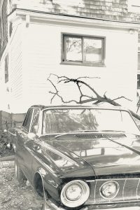 High-contrast black and white photo of a vintage dark-colored American sedan parked in front of a white clapboard house, with bare thorny branches visible above the car's roofline.