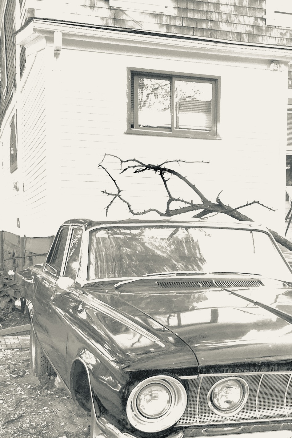High-contrast black and white photo of a vintage dark-colored American sedan parked in front of a white clapboard house, with bare thorny branches visible above the car's roofline.